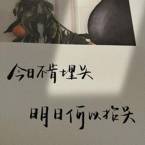 夜里吃瓜文案句子简短,舌尖上的清凉夜