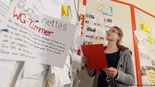 如何看待吃瓜现象论文,网络时代的舆论狂欢与反思