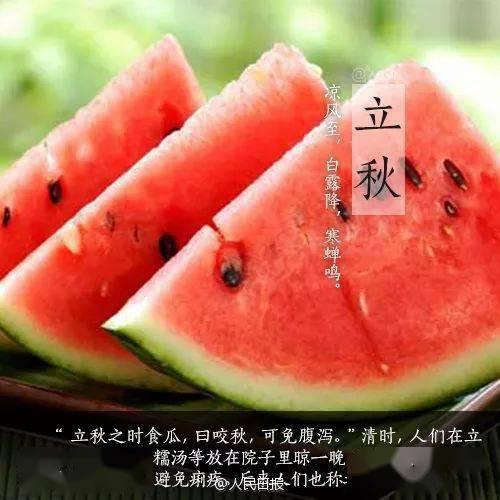 立秋吃瓜啦,瓜果飘香，共享丰收喜悦