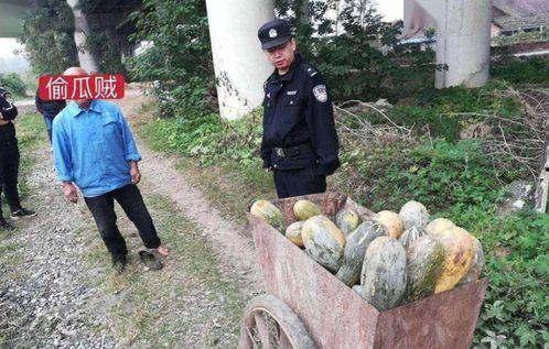 定远最新吃瓜事件,揭秘背后真相与热议焦点