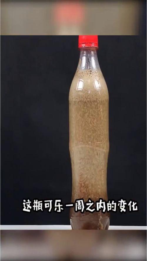 路上打架路人吃瓜,一场街头打架引发的“吃瓜”热潮