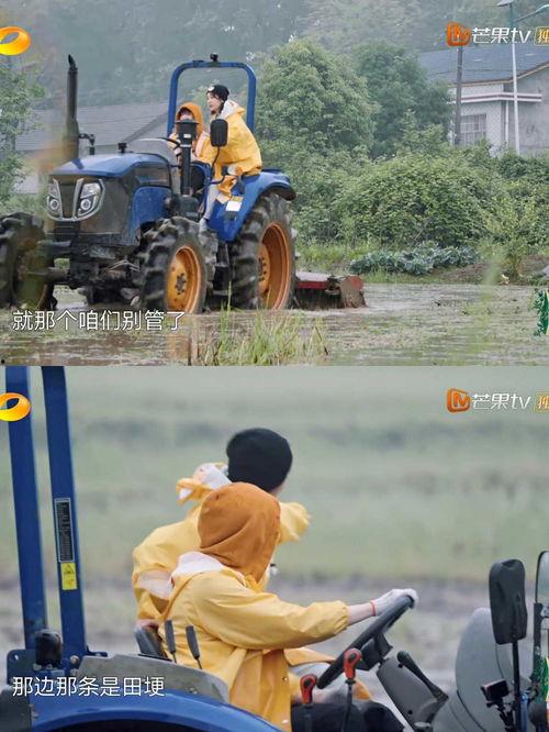 拖拉机吃瓜,拖拉机与瓜果的田园交响曲