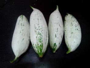 吃瓜消息 图文素材,吃瓜群众眼中的明星幕后故事