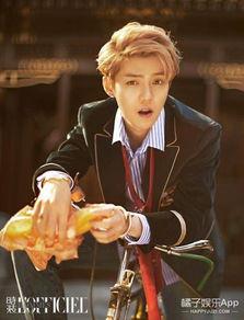 在线吃瓜鹿晗,网络热议中的吃瓜达人