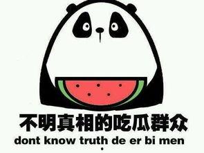 你的吃瓜朋友,一场趣味横生的社交盛宴