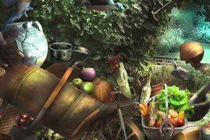 阳光花园吃瓜,夏日炎炎，瓜香四溢