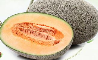 吃哈密瓜怎么,一口咬下，尽享夏日清凉