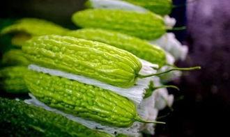 怎么形容别人吃瓜吃的快,揭秘那些吃瓜如风的高手