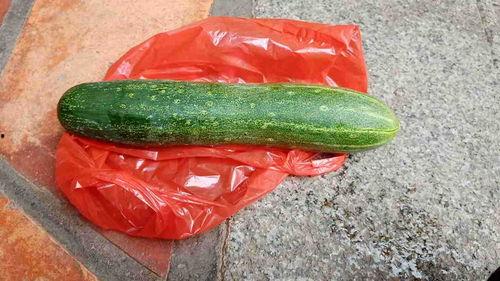 吃瓜不干活,闲聊不干活的生活态度