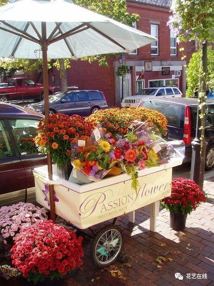 花车店吃瓜,揭秘街头美食的诱惑与魅力