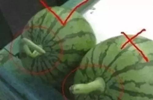 净妹吃瓜,揭秘娱乐圈那些不为人知的幕后故事