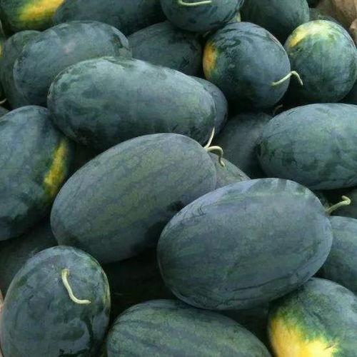 湖北鄂州妇女吃瓜,传承地方特色美食文化